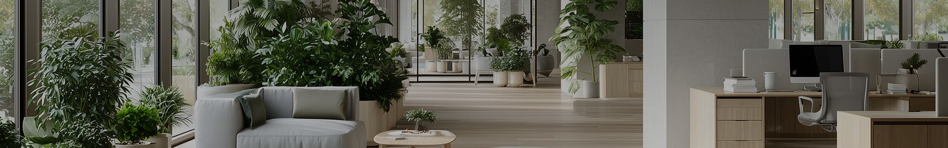 Dara Studio